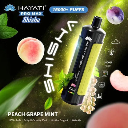 Hayati Pro Max Shisha 15000 Disposable Vape Box of 5 - Vape wholesale supplies 